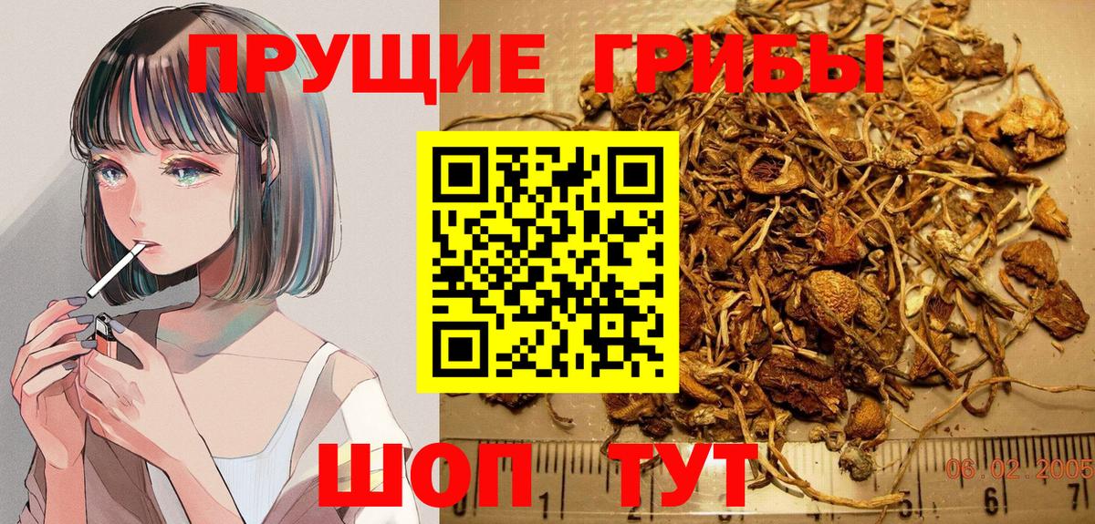 Галлюциногенные грибы ЛСД Самара